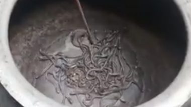 Hundreds of Snakes Including Baby Cobras Found in a Daily Worker's House in Odisha, Watch Video!