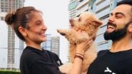 Are Virat Kohli & Anushka Sharma Become Parents to a New Pet? Virushka Shares Adorable Picture With a Cute Puppy