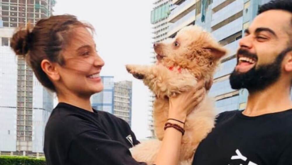 Virat Kohli Named PETA India’s Person of the Year 2019 for His Efforts to Improve Conditions for Animals Virat Kohli Named PETA India’s Person of the Year 2019 for His Efforts to Improve Conditions for Animals