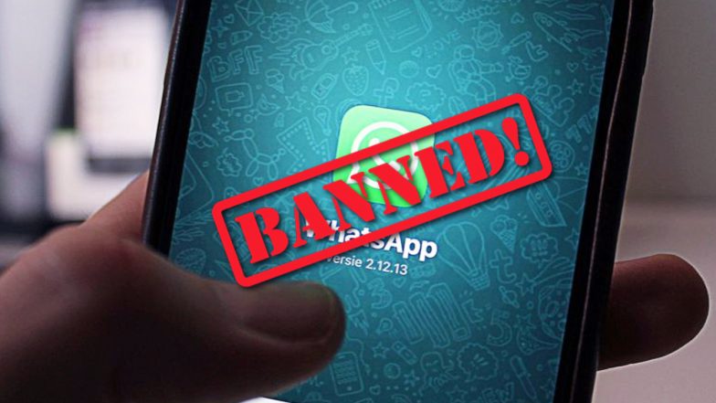 WhatsApp Calls May be Blocked in Some Areas as They Facilitate Terrorist Communication and Fake News