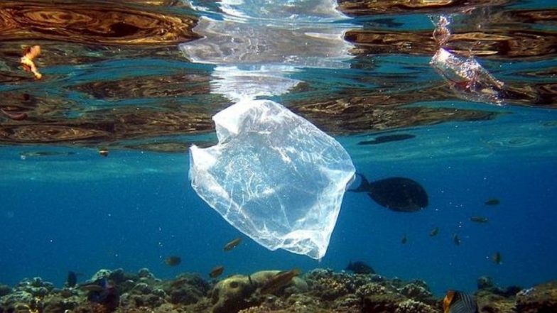 Environment Day 2018 Date: History, Theme, Significance, Celebrations & the Host Country for this Year
