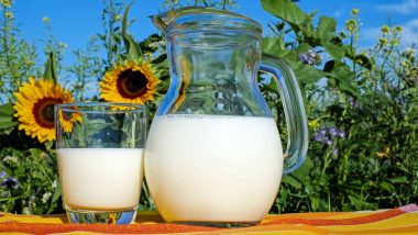 World Milk Day 2018 Date and Theme: Know the Significance & History of This Day