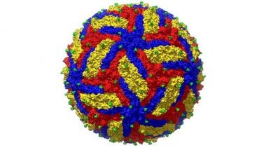 Is This How The Zika Virus Looks? High Resolution Image of The Pathogen Can Hold Clues To Its Prevention