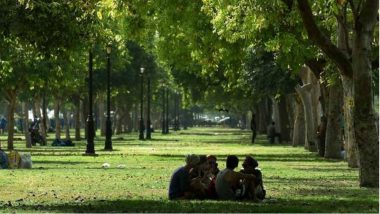 Delhi to Be Guarded by 31 Lakh Tree-Wall for Protection From Frequent Dust Storms and Pollution From Neighbouring States