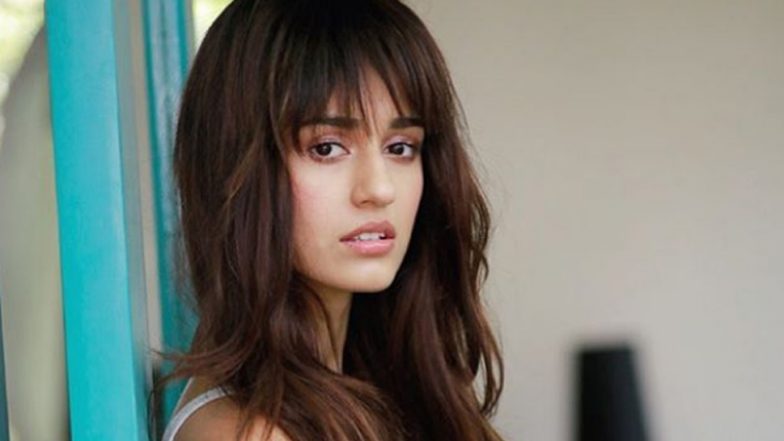 Salman Khan's Bharat: Disha Patani's First Look as Radha Revealed? View Pic!