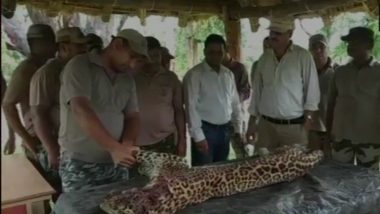 Man-Animal Conflict: Leopard Who Mauled Over 20 People, Killed by Rajaji Tiger Reserve Officials in Motichur Range