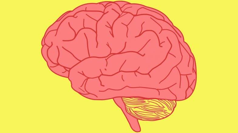 California Plant Also Called the тАШHoly HerbтАЩ May Help Treat AlzheimerтАЩs California Plant Also Called the тАШHoly HerbтАЩ May Help Treat AlzheimerтАЩs