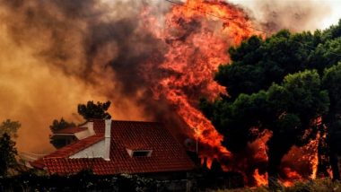 Wildfires Rage as Heatwave Hits Southern Europe, Mercury Touches 48.8 Degrees Celsius in Italy