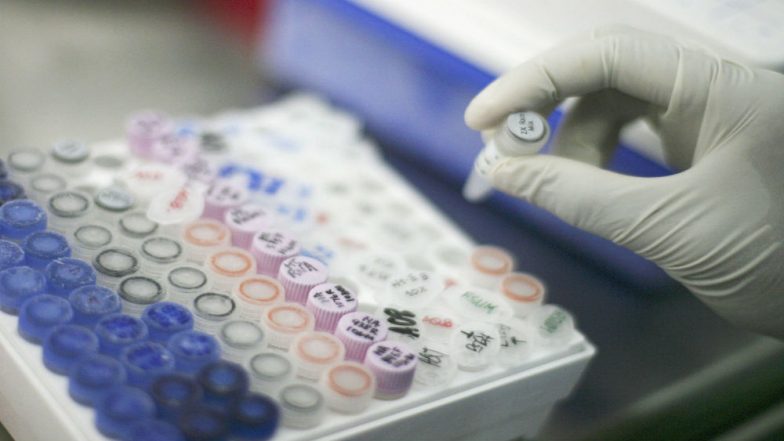 DNA Tests Being Conducted for Migrants at US Border