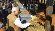 Narendra Modi Gifts 200 Cows to Rwanda in Rweru Model Village in Bugesera, See Pics