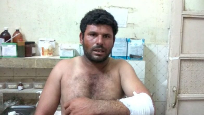 Gujarat: Dog Saves Shepherd’s Life From Three Lions in Amreli's Ambardi Village