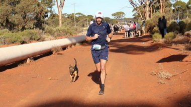 Dog Called Stormy Finishes Australia Half-marathon Alongside Human Competitors, Wins Medal