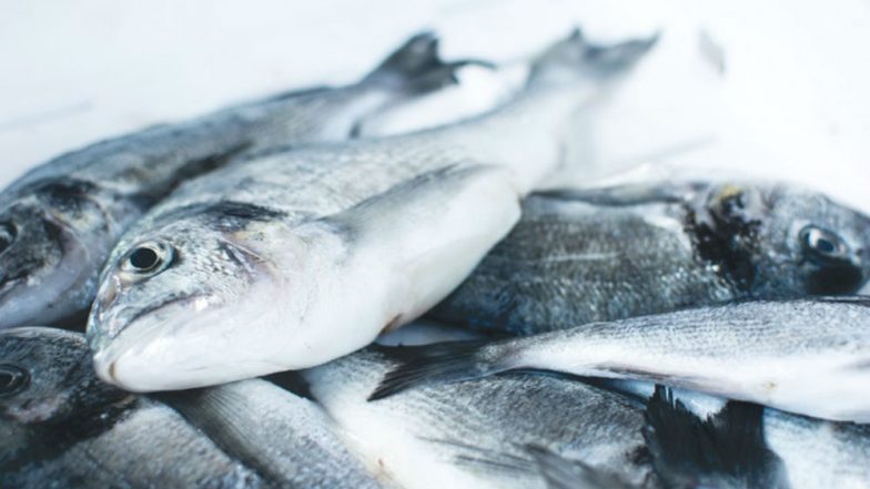 Fish Rain in Mumbai? Fake WhatsApp Video Going Viral on Social Media