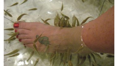 Fish Pedicure Causes a Woman to Lose Her Toenail; Is This Cosmetic Procedure Safe?