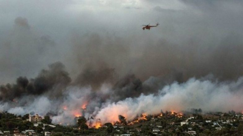 60 Killed 700 Rescued as Deadly Forest Fires Rage in Greece