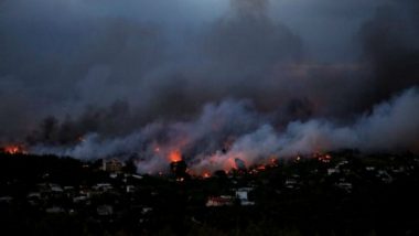 Greece Forest Fires: At Least 20 People Killed, 69 Injured in Forest Fires Near Athens
