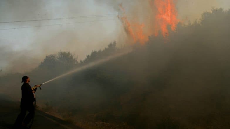 Climate Change Affects Ability of Forest to Regenerate After Wildfire: Study Climate Change Affects Ability of Forest to Regenerate After Wildfire: Study