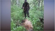 Brown Bears Eat 20 Corpses in a Cemetry in Russia, Including that of a Child: Watch Video