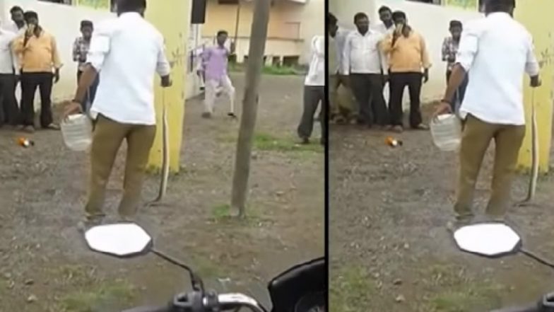 60 Highly Poisonous Russell's Viper Snakes Found in School's Kitchen in Maharashtra (Watch Video)