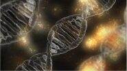 In a Rare Genetic Syndrome, a 11-Year-Old Girl Got Most of Her Genes from Father & Almost None from Mother
