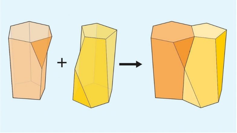 ‘Scutoid’ is the New Geometric Shape Found in Human Body, Discovered by Scientists