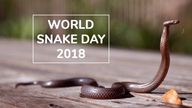 World Snake Day 2018 Date: Know Why a Dedicated Day to Serpents Is Celebrated