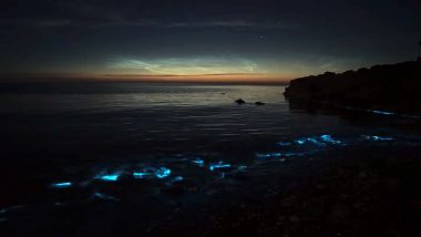 Sea In Wales Sparkles Blue At Night Know What Causes Sea Sparkle Or Bioluminescence Watch Video Latestly