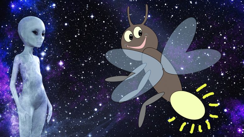 Couple Shoot at Aliens And Create Chaos in Pennsylvania Neigbourhood, Realise Its Just Fireflies!