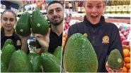 Giant Avocados Arrive in Australia&rsquo;s Supermarkets! Pics of Avozilla- the Biggest One Can Buy