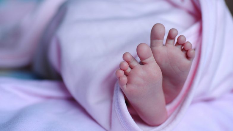 Miraculous Escape For Baby Buried in the Woods of Western Montana, Who Survives For 9 Hours