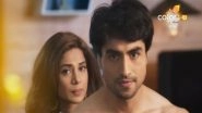 Bepannaah Written Episode Update, July 23, 2018: Wasim Decides to Get Zoya Married Again