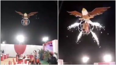 Most Stylist or Most Ridiculous Bride-Groom Entry at a Wedding Reception? Video of Couple Flying and Landing on Bird Cage Goes Viral