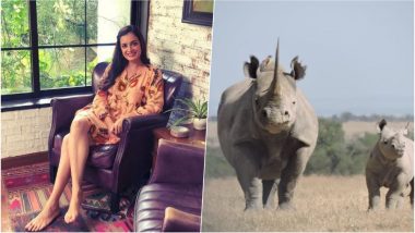 Dia Mirza Gets a Baby Rhino Named After Her, Asks Fans to Support Wildlife Conservation