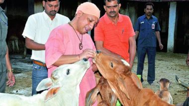 Yogi Government To Set Up Cow Shelters in 12 Districts Jails of Uttar Pradesh