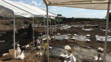95 Dead Bodies of African American Labourers From Early 20th Century Discovered at a Texas Construction Site