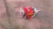Dog in Pakistan Wrapped in PTI Flag, Shot Dead; Ghastly Video Going Viral