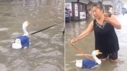 Woman in China Takes Her Goose Out For a Walk in Flooded Streets, Watch The Funny Video