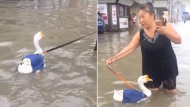 Woman in China Takes Her Goose Out For a Walk in Flooded Streets, Watch The Funny  Video | 👍 LatestLY
