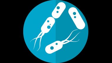 Genetic Change in Gut Bacteria Alters Host Metabolism