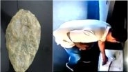 1.6 Million Years Old &lsquo;Olduvai Handaxe&rsquo; Stolen Replica Recovered, Thanks to CCTV Footage From Delhi&rsquo;s National Museum