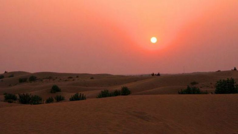 Rajasthan Was Under the Sea? 47-Million-Year-Old Fish Fossils Discovered in Deserts Suggest So!