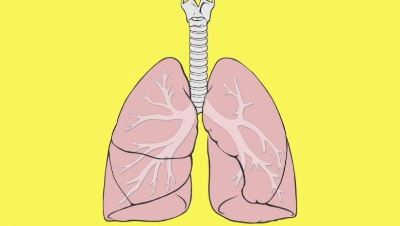 Cells Damaged by Chronic Lung Disease Can Result in Severe COVID-19, Says Study