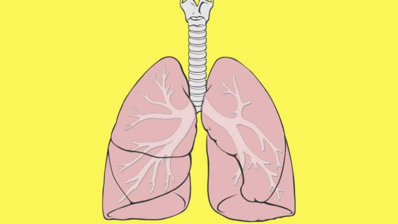 Cells Damaged by Chronic Lung Disease Can Result in Severe COVID-19, Says Study