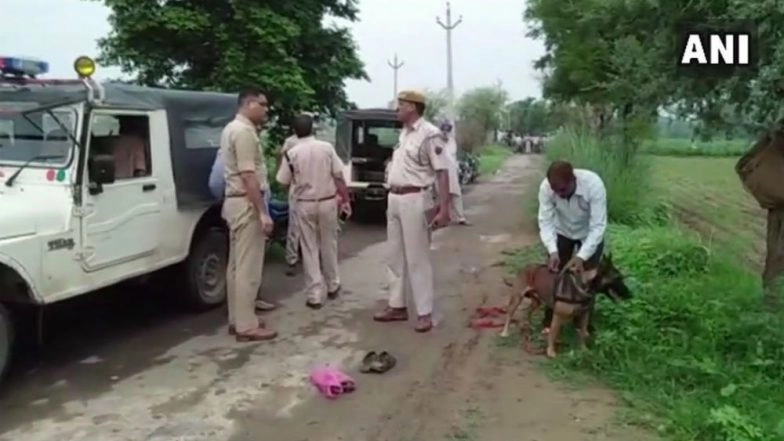Alwar Lynching: Cops First Sent Cows to 'Gaushala', Then Brought Victim to Hospital