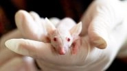 NASA Has Sent 20 Mice in Space to Study if Humans Can Live on Mars