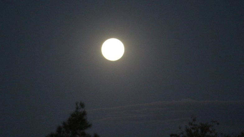 Penumbral Lunar Eclipse 2020 Live Streaming Online Today: How, When and Where to Watch Chandra Grahan in India With Timing in IST and Duration?