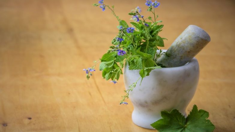 Home Remedies For Malaria and Dengue: 5 Ingredients To Treat These Vector-Borne Diseases At Home