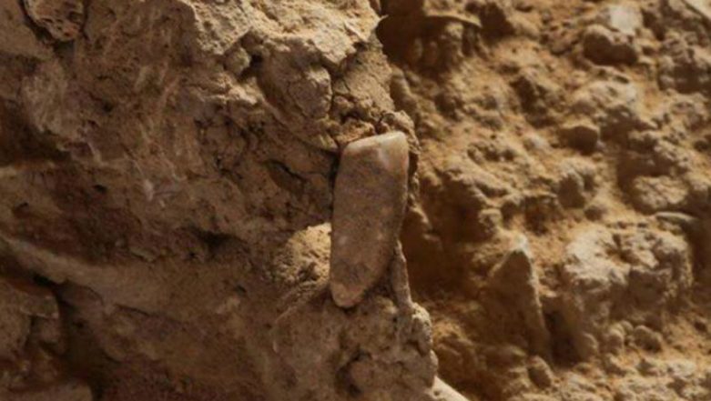 Prayagraj: 50 Archaeological Sites Found by Ancient History, Culture and Archaeology