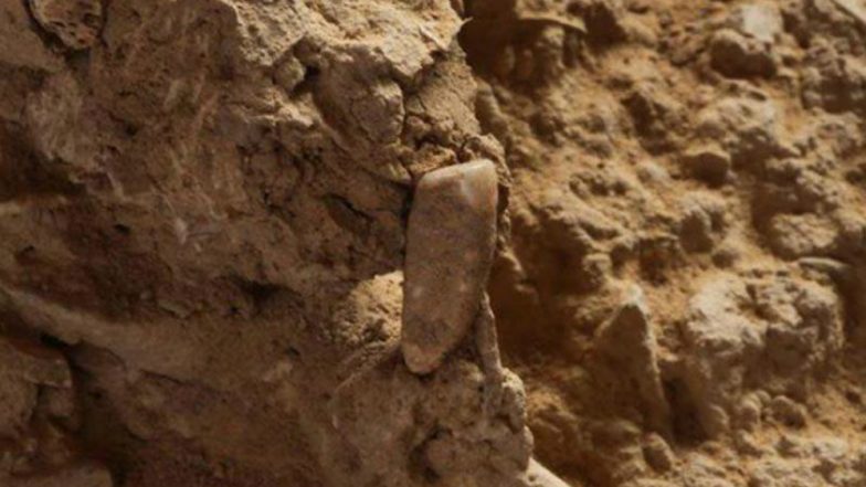 560,000-Year-Old Tooth Discovered by a Teen Archaeologist in a French Cave
