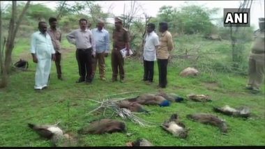 Telangana: 24 Peacocks Found Dead in 10 Days by Allegedly Feeding on Crops With Pesticides